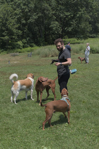 20250706_Dog Park__DSC0029_.jpg