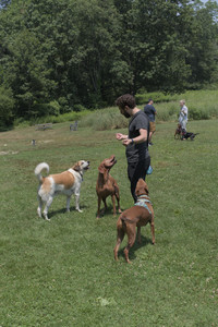 20250706_Dog Park__DSC0031_.jpg