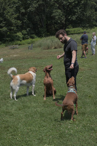 20250706_Dog Park__DSC0033_.jpg