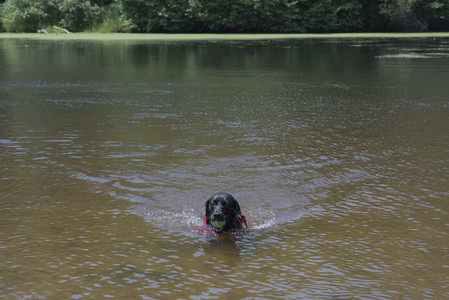 20250706_Dog Park__DSC0080_.jpg