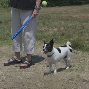 20250706_Dog Park__DSC0082_.jpg