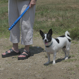 20250706_Dog Park__DSC0083_.jpg