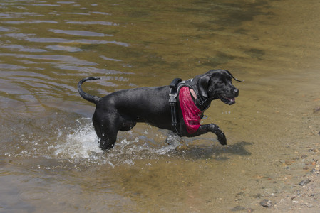 20250706_Dog Park__DSC0116_.jpg