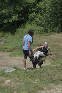 20250706_Dog Park__DSC0156_.jpg