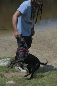 20250706_Dog Park__DSC0159_.jpg