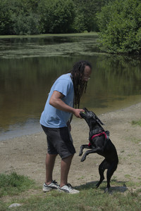 20250706_Dog Park__DSC0163_.jpg