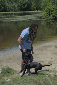 20250706_Dog Park__DSC0164_.jpg