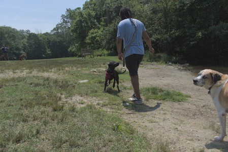 20250706_Dog Park__DSC0179_.jpg