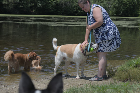 20250706_Dog Park__DSC0199_.jpg