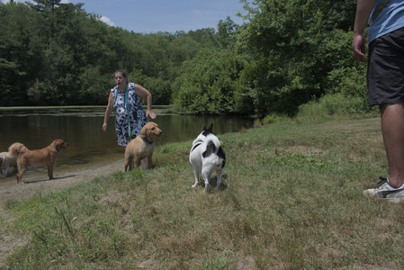 20250706_Dog Park__DSC0211_.jpg