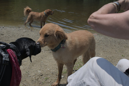 20250706_Dog Park__DSC0251_.jpg