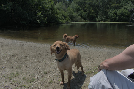 20250706_Dog Park__DSC0254_.jpg