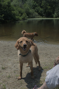 20250706_Dog Park__DSC0258_.jpg