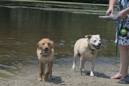 20250706_Dog Park__DSC0280_.jpg