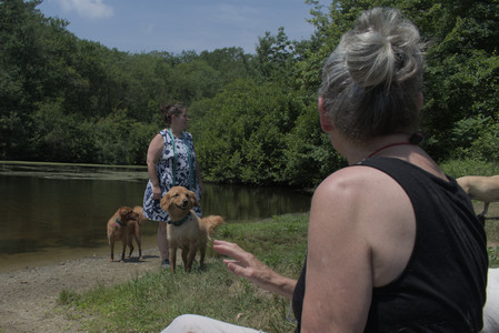 20250706_Dog Park__DSC0299_.jpg