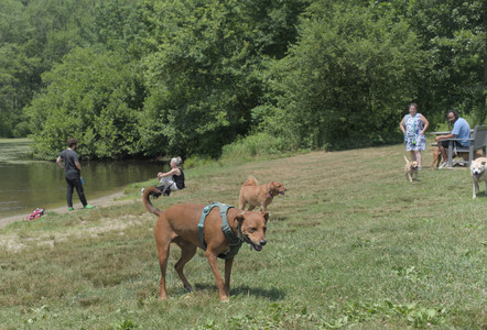 20250706_Dog Park__DSC0312_.jpg