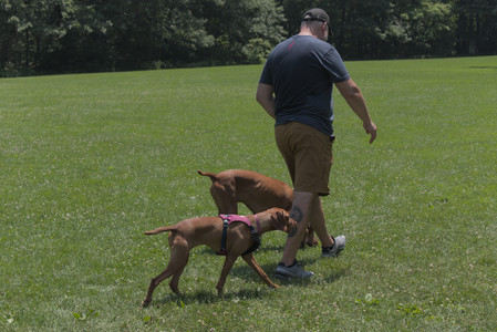 20250706_Dog Park__DSC0324_.jpg