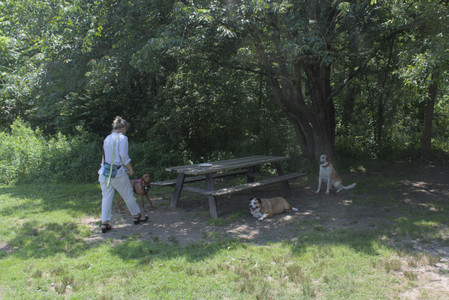 20250706_Dog Park__DSC0332_.jpg