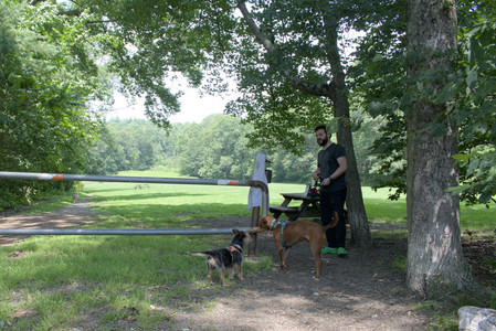 20250706_Dog Park__DSC0336_.jpg