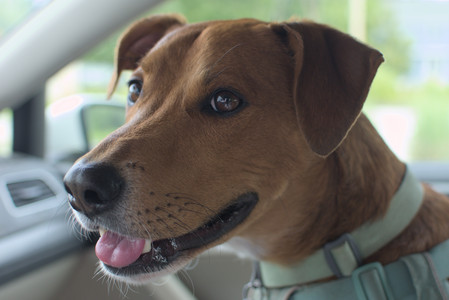 20250707_Dog Park__DSC0045_.jpg