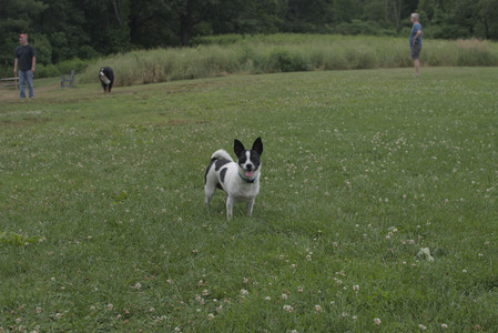 20250707_Dog Park__DSC0070_.jpg