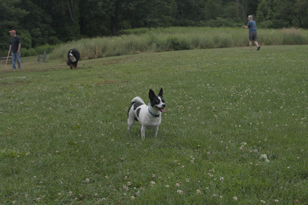 20250707_Dog Park__DSC0073_.jpg