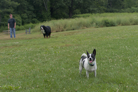 20250707_Dog Park__DSC0079_.jpg