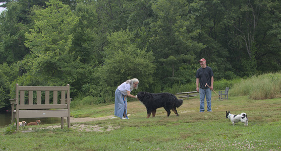 20250707_Dog Park__DSC0082_.jpg