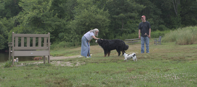 20250707_Dog Park__DSC0085_.jpg