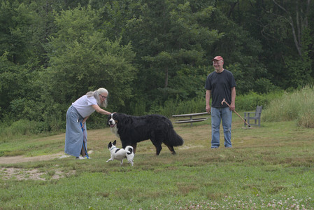 20250707_Dog Park__DSC0088_.jpg