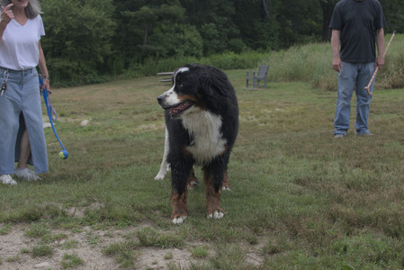 20250707_Dog Park__DSC0098_.jpg