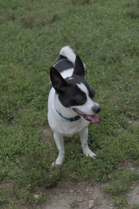 20250707_Dog Park__DSC0099_.jpg