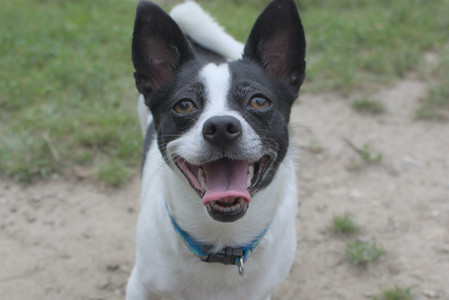 20250707_Dog Park__DSC0119_.jpg