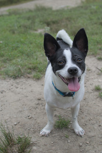 20250707_Dog Park__DSC0122_.jpg