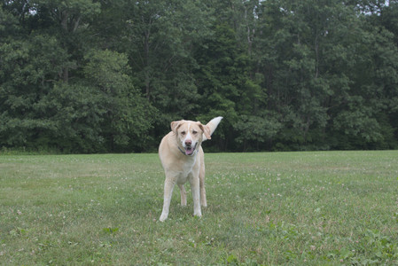 20250707_Dog Park__DSC0128_.jpg