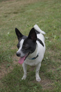 20250707_Dog Park__DSC0141_.jpg