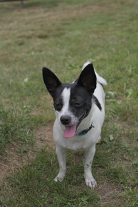 20250707_Dog Park__DSC0144_.jpg