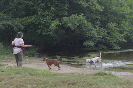 20250707_Dog Park__DSC0153_.jpg