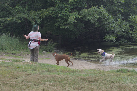 20250707_Dog Park__DSC0154_.jpg