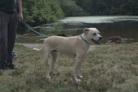 20250707_Dog Park__DSC0172_.jpg