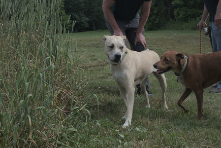 20250707_Dog Park__DSC0181_1.jpg