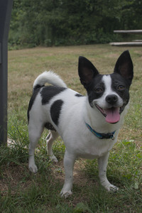 20250707_Dog Park__DSC0194_.jpg