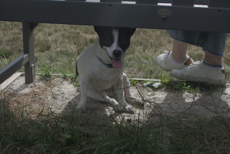 20250707_Dog Park__DSC0197_.jpg