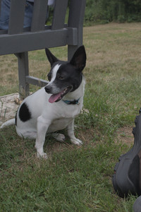 20250707_Dog Park__DSC0198_.jpg