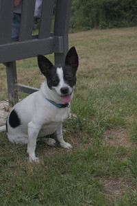 20250707_Dog Park__DSC0200_.jpg