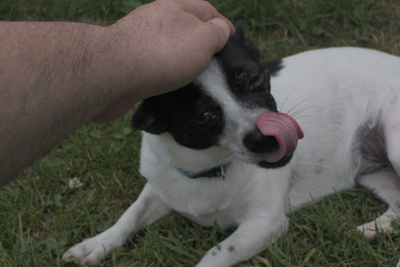 20250707_Dog Park__DSC0206_.jpg