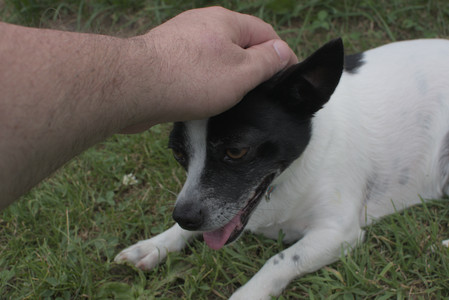 20250707_Dog Park__DSC0208_.jpg