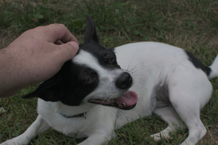 20250707_Dog Park__DSC0209_.jpg