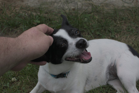 20250707_Dog Park__DSC0212_.jpg