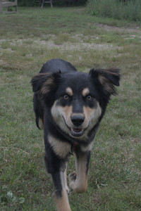 20250707_Dog Park__DSC0218_1.jpg